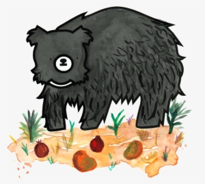 Bear