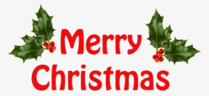 Merry Christmas Holly Transparent Background Christmas - Christmas Png No Background