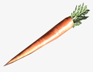Fo3 Fresh Carrot - Carrot