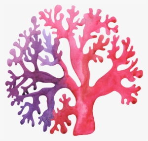 Hand-painted Exotic Coral Png Transparent - Portable Network Graphics