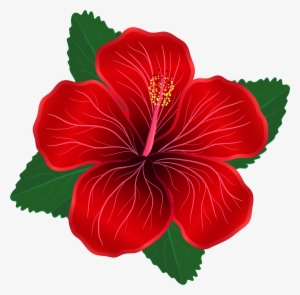 Vector Royalty Free Flower Png Image Clip Art Pinterest - Red Flower Clipart Png