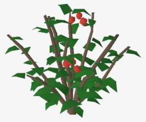 Redberry Bush - Berry Bushes Clipaart