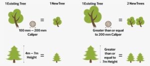 Any New Development Can Receive Credits Towards Their - Development Of A Tree