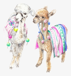 Colorful Baby Alpacas Llamas India Morocco Ltd Edition - Animal Boho