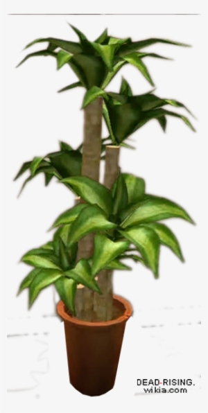 Dead Rising Potted Plant 6 - Potted Plants Png File