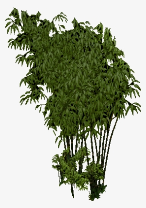 Bamboo PNG & Download Transparent Bamboo PNG Images for Free - NicePNG