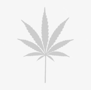 White Weed Leaf Png - Cannakids Logo