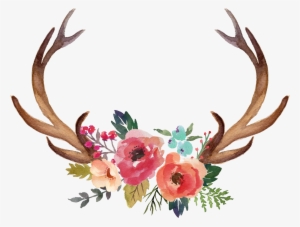 Vector Freeuse Download Deer Antler Moose Flower Clip