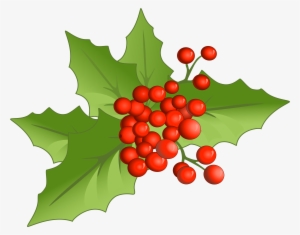 Christmas Large Png Mistletoe Clipart - Mistletoe Clipart