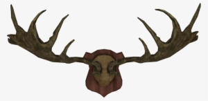 Moose Horns Png - Elk Horns Png