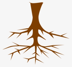 Roots Clipart At Getdrawings - Clipart Images Of Root