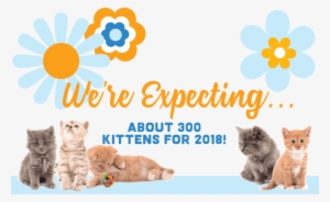 Kittenshower Header - Portable Network Graphics