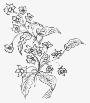 Black White Sketchy - White Flower Drawing Png