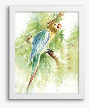 Watercolor Parrot