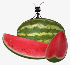 Watermelon Clipart Ant - Ant With Watermelon