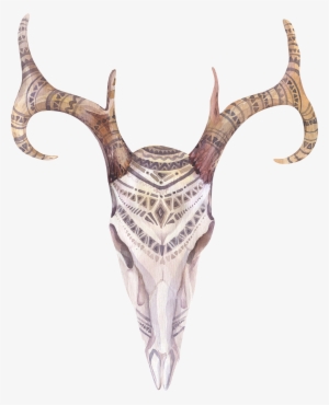 Antelope Drawing Watercolor - Boho Cow Skull Png