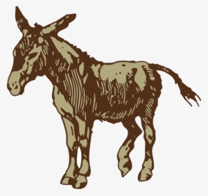 Donkey Horse Download Drawing - Mule Clip Art
