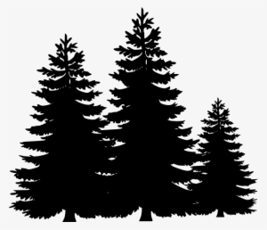 Svg Stock Evergreen Tree Line Clipart - Pine Tree Silhouette