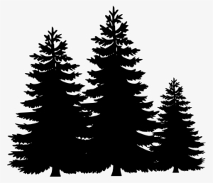 Download Svg Stock Evergreen Tree Line Clipart - Pine Tree Silhouette Transparent PNG - 600x517 - Free ...