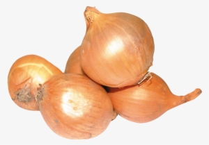 Onion Png Image2 - Onion