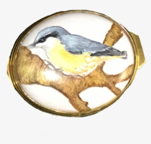Nuthatch- Limited Edition 1 Of - Mountain Bluebird