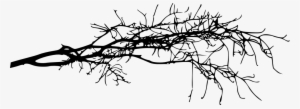 Free Png Simple Tree Branch Png Images Transparent - Tree Branch Silhouette Transparent