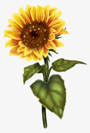 Pin By Lori Bechtel On Sunflower Clip Art - Flower