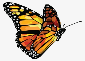 Butterfly - Butterfly Vector Png