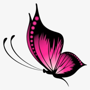 Pink Butterfly Vector Png