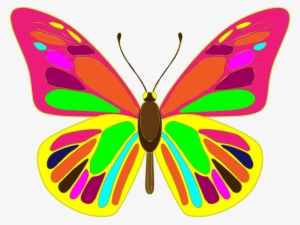 Free Butterfly Vector Art - Butterfly Vector