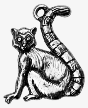 Lemur - Illustration