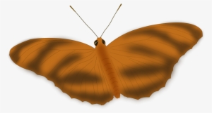 An Ethereal Butterfly Free Vector - Butterfly