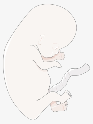 Download The Image - Infant