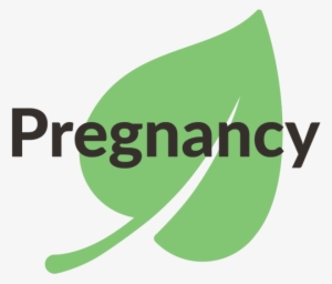 Pregnancy - Magnetic Io