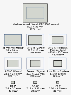 The Sizes Of Sensors Used In Most Current Digital Cameras, - Dslr Sensor Size