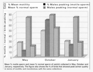 Seasonal Effects On Ostrich Semen - Common Ostrich