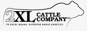2xl Cattle Company, Llc - Cattle