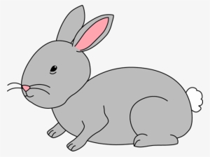 Png Library Library Gray - Clip Art Of A Bunny