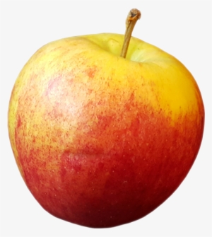 Apple Fruit Png Transparent Images - Transparent Background Apple Png