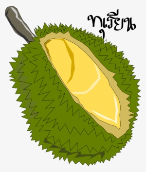 Durian,thai Fruit “free” Png File Clipart - Durian Png