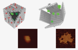 Afm Reveals The Dimensions Of Nanoscale Dna Origami - Acs Synthetic Biology