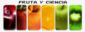 La Ciencia Detrás De Las Frutas - Pardeamiento Enzimatico De Frutas