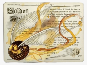 Golden Snitch, - Golden Snitch Book Illustration