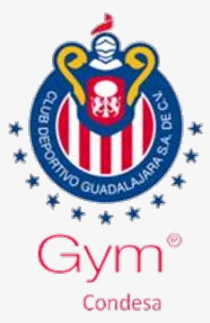 Chivas Gym Condesa - Star Wars New Republic Flag