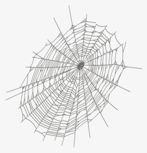 Halloween Large Spider Web Png Clipart - Transparent Spider Web Clipart