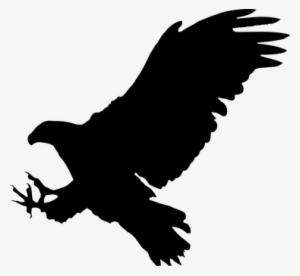 Animal Bird Eagle Favorites Silhouette Eag - Eagle Silhouette Png