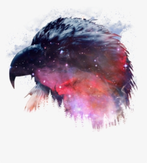 Eagle Nebula Cool Bird Animal Hicustom - Galaxy