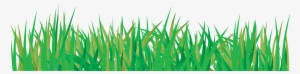 Grass Vector Png - Drawing