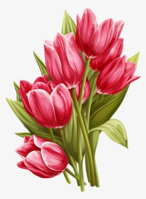 Drawing Tulips Vintage - Tulips Png