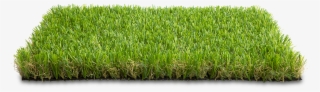 Freetoedit Grass Grama - Lawn